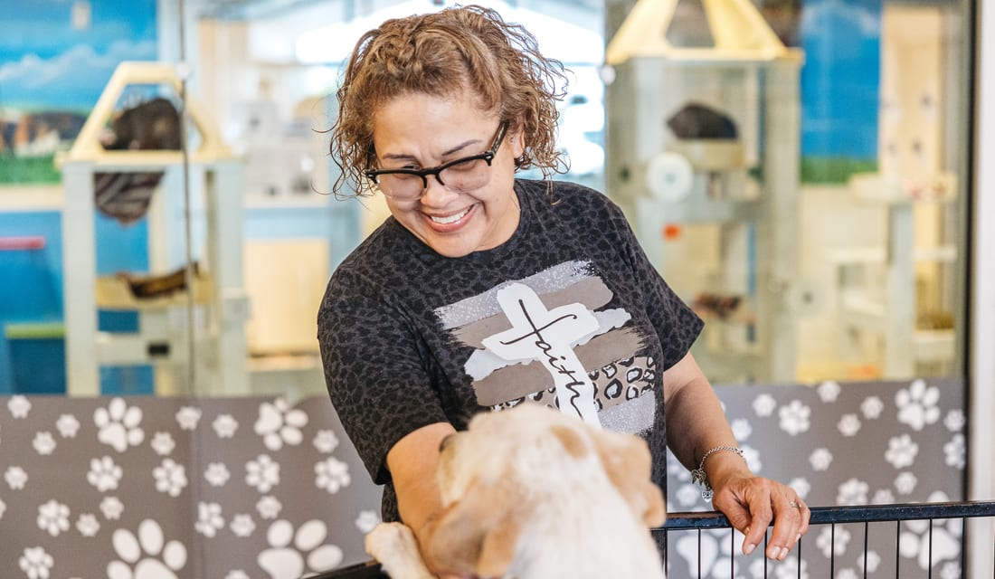 A visitor greeting an adoptable dog at a PVAS adoption center