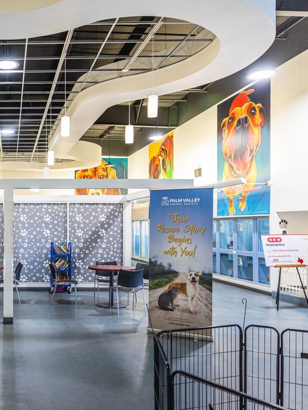 Inside a Palm Valley Animal Society adoption center